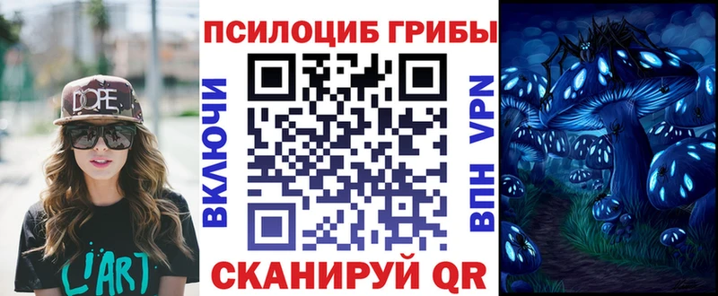 Галлюциногенные грибы Psilocybine cubensis  Пошехонье 